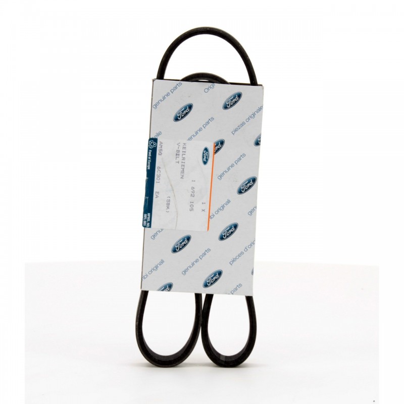 Ford Focus 2011-2014 1.6 Benzinli 123PS V Kayısı Ford Orjinal