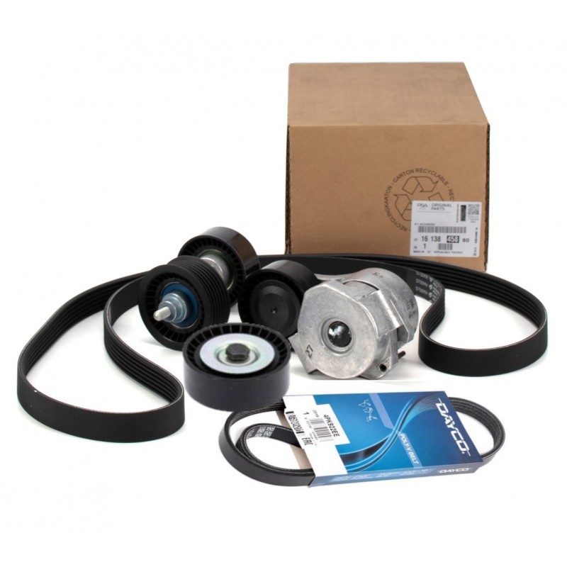 Ford Custom 2012-2017 2.2 TDCİ V Kayış Ve Gergi Bilya Seti