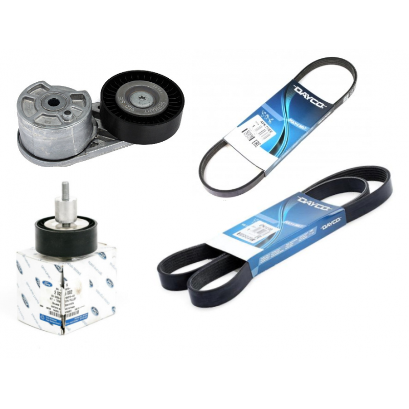 Ford Custom 2018-2022 2.0 TDCI Ecoblue V Kayış Ve Gergi Bilya Seti