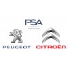 PSA-Peugeot-Citroen